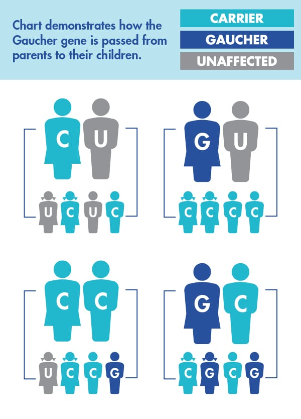 Tay Sachs Disease Chart